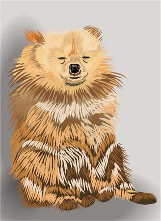 Sleepy dog with yellow, white and brown fur sitting on the floorのイラスト素材