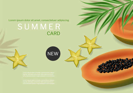 Papaya summer green banner vector realistic. Tropic fruits template backgroundsのイラスト素材