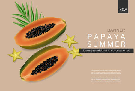 Papaya summer banner vector realistic. Tropic fruits template backgroundsのイラスト素材