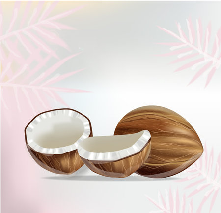 Coconut and palm leaves Vector realistic. Fresh sliced coconut fruit shells. Product placementsのイラスト素材