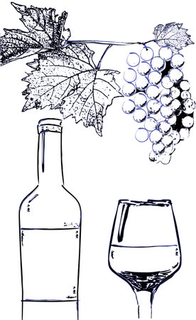 Wine bottle and glass with grapes branch vector line art. Vintage poster grapes and wine isolatedのイラスト素材