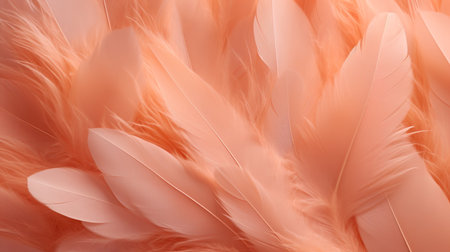 Beautiful pink feathers background. Close-up. Texture of feathers.の素材