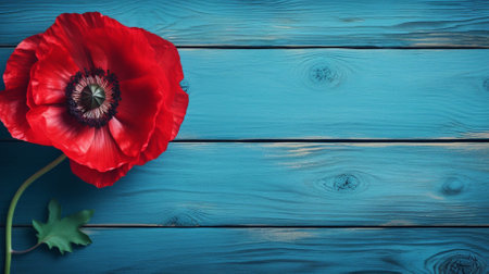 Red poppies on blue wooden background. Top view with copy spaceの素材