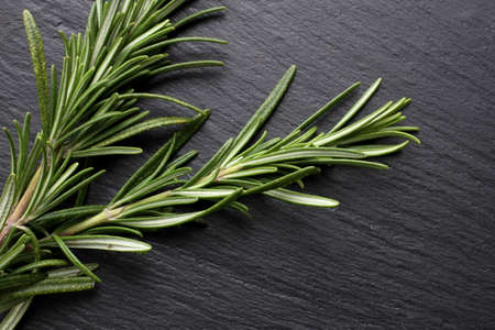 Rosemary herbs on slate boardの写真素材