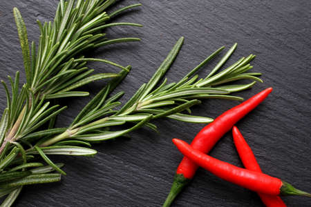 Red hot chili pepper with rosemary on modern looking slate boardの写真素材