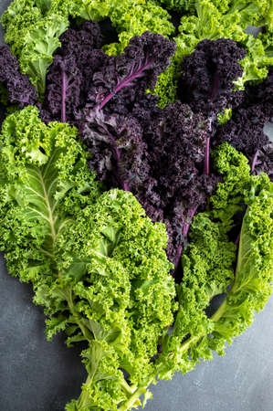 Green and violet spring cabbage on dark board, top viewの写真素材