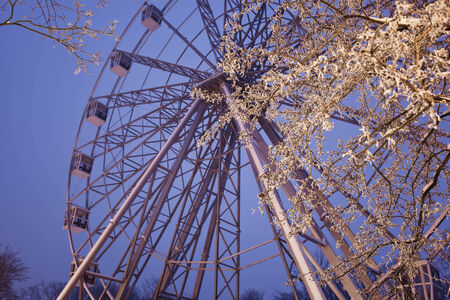 Ferris wheel at winter night time, Kaliningrad, Russiaの写真素材