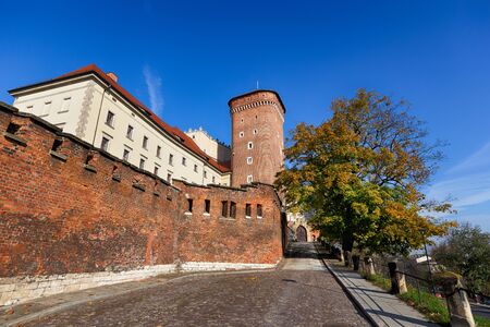 Royal palace in Wawel in Krakow, Polandのeditorial素材