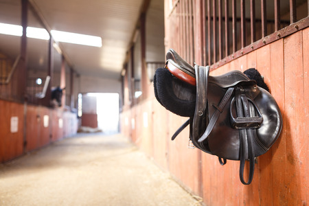 A leather saddles horse in a stableの写真素材