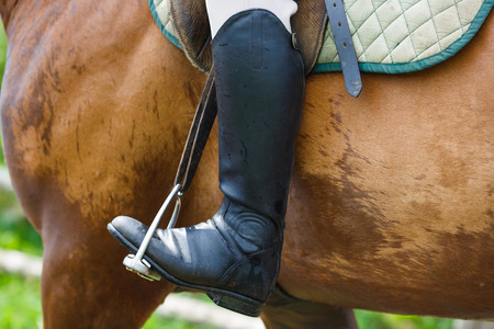 Close up leg of man on a horseの写真素材