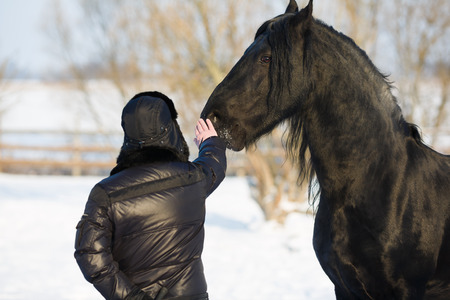 The man strokes the horse's head in winterの写真素材