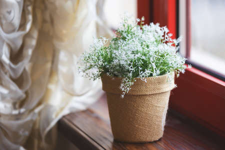 Vase with the wildflowers on the red windowsillの写真素材