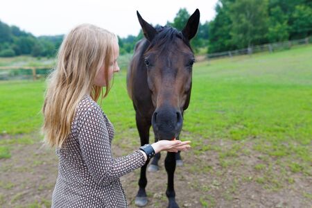 Young girl feeding the horse a carrot on the meadowの写真素材