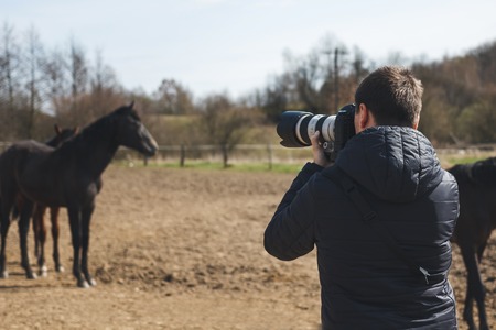 The man takes pictures of horses on the meadow, spring timeの写真素材