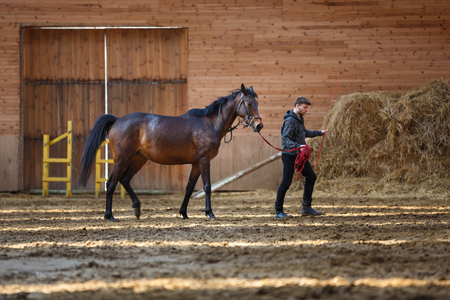 The man training his horse in manegeの写真素材