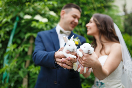 wedding couple are holding two small rabbits, summer timeの写真素材