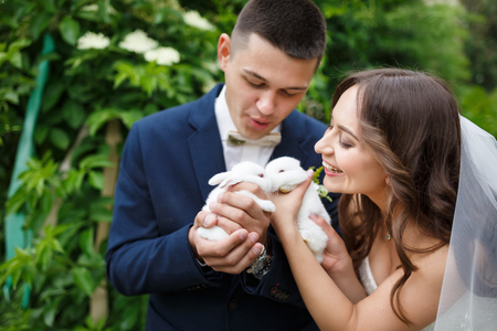 wedding couple are holding two small rabbits, summer timeの写真素材