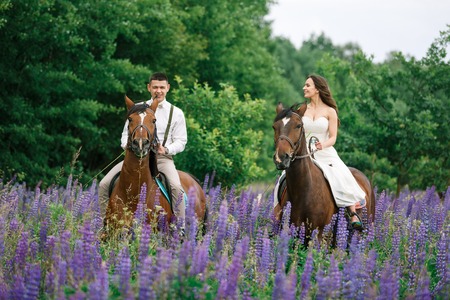 The bride and groom riding on horseback across a field of lupineの写真素材