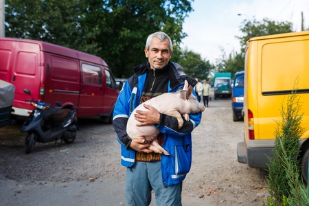 Kamianka, Ukraine - September 29 2016: Native ukrainian peasant holds a cute piglet in his handsのeditorial素材