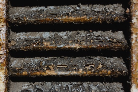 Shabby old paint on the surface of the old shuttersの写真素材