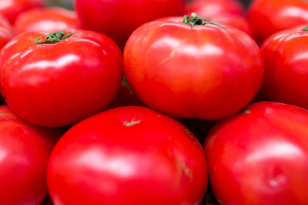 Row of shiny tomatoes on the counterの写真素材