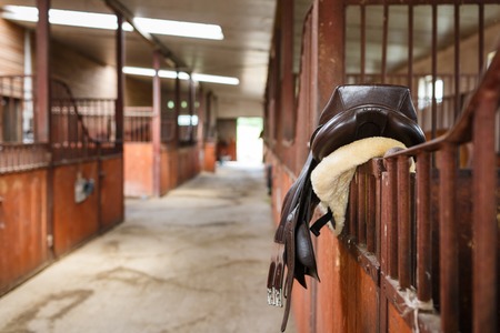 The leather saddle horse in a stableの写真素材