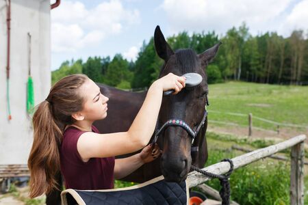 Young rider is cleaning a horse in a stable outdoorsの写真素材