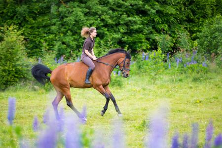 Young horse rider in the woods in summerの写真素材