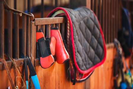 Horse riding equipment is hanging on a door in a stableの写真素材