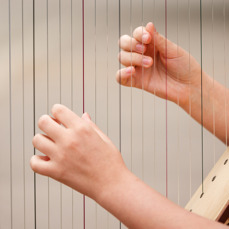 Hands on the strings of a celloの写真素材