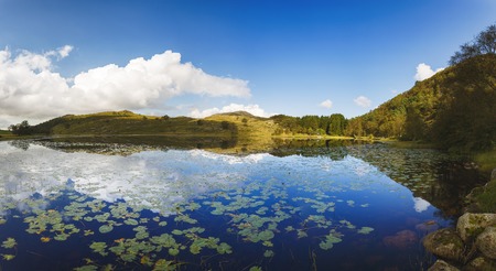 Gramstadtjorna lake in Norway at summer timeの写真素材
