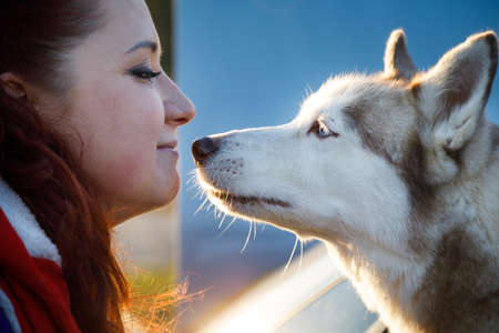 The dog breeder is hugging with her husky dogs outdoors