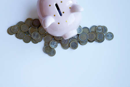 piggy bank and coinsの写真素材