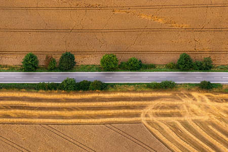 The road and fields