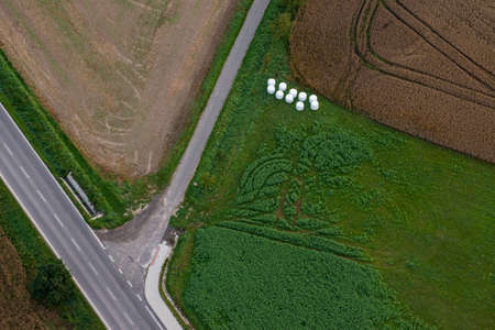 Crossroads and fields