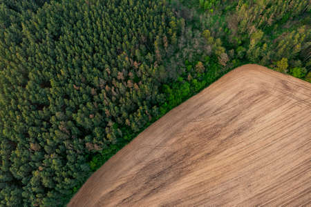 Forest and field