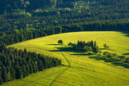 Fields and forestsの写真素材