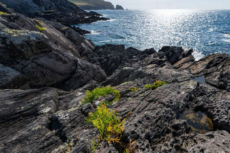 Coastal cliffs in the area of Dunlough Bayの写真素材