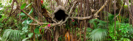 Loro Parque, Tenerife, Canary islandの写真素材