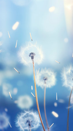 Abstract blurred nature background dandelion seedsの素材