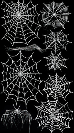 Spider web on black background. Halloween. Vector illustration. Eps 10のイラスト素材