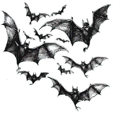Illustration of a flying bats set isolated on a white background.のイラスト素材