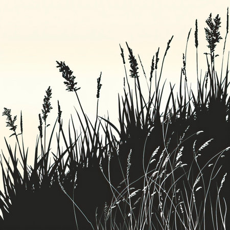 Silhouette of grasses and reeds on a white backgroundのイラスト素材