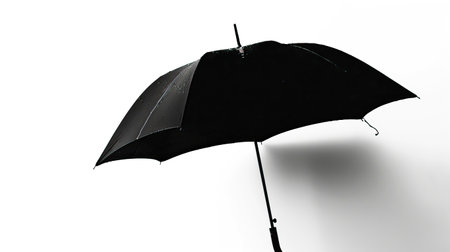 Black umbrella isolated on white background with clipping path. Clipping path included.のイラスト素材