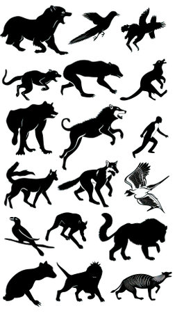 Set of silhouettes of wild animals on white background. Vector illustration.のイラスト素材