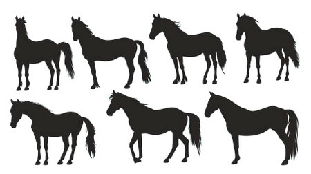 Horse silhouettes set isolated on white background. Vector illustration.のイラスト素材