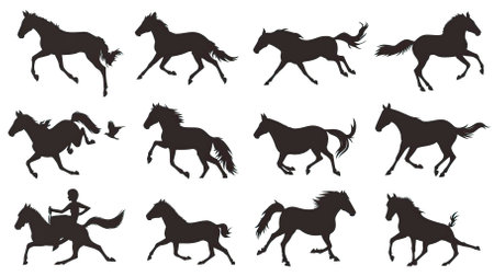 set of silhouettes of horses on a white background, vector illustrationのイラスト素材