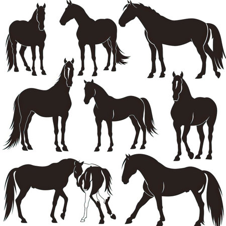 Horses silhouettes on white background. Vector illustration for design.のイラスト素材