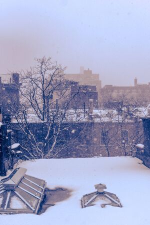 Dreamy scenery during a massive winterstorm with heavy snowfall, Harlem, New York, USAの写真素材