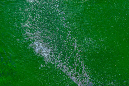 Water Splash at Water Fountain at Garden in Solapur.の写真素材